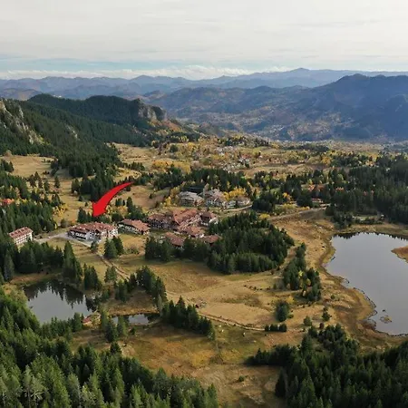 N.joy 534 By Oak Apartment *